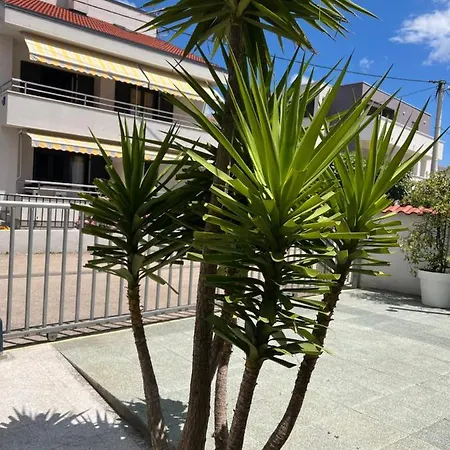 Apartmán Lili Flora Zadar